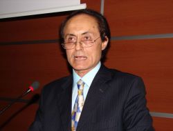 Mehmet Akif, Teşkilat-ı Mahsusa’da Çalışmış