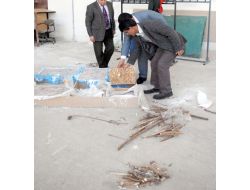 Üniversiteli Gençler, Ayçiçeği Sapından Yalıtım Malzemesi Geliştirdi