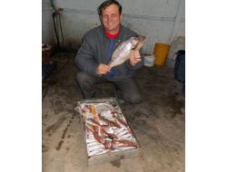 Saros Körfezi’nde Balıkçıların Yüzü Gülmeye Başladı