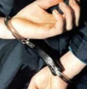 Hakkari'deki kaçakçılık operasyonu