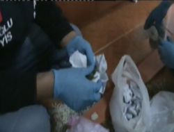 Aile Boyu Uyuşturucu Şebekesi Çökertildi