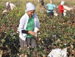 Ulusal Pamuk Zirvesi’ne Gaziantep’ten Tam Destek