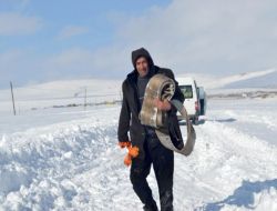 İş Makinesine Mazot Götüren Araç Yolda Bir Süre Mahsur Kaldı