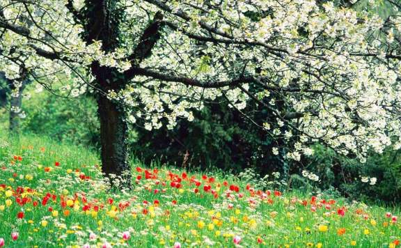 Yeni hafta baharla geliyor!..