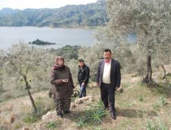 Baraj Su Tutunca, Köylüler Tarlalarına Gidemez Oldu