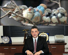 'Müdür sıyırdı' dedirten mail