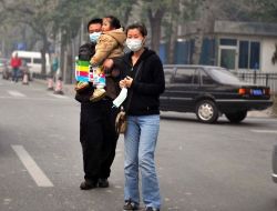 Pekin'de "Pekinli Olmayanlara" Domuz Aşısı Yapılmıyor!