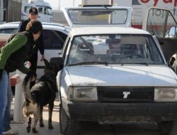 Kaçakçılık Olaylarını Frida Önleyecek