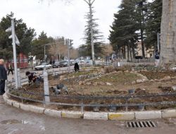 Yalvaç Belediyesi, Cadde Ve Sokakları Çiçeklerle Donatıyor