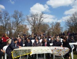 Üniversite Öğrencilerinden Ağaç Budama Şenliği