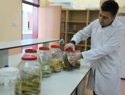 Aksaray Üniversitesi Hayvan İncelemelerini Alternatif Yöntemlerle Yapacak