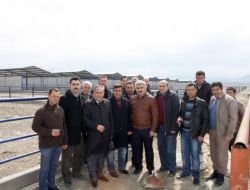 Burdur'da Hayvan Oteli Tamamlanıyor