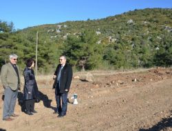 Kozan'da 'Kent Ormanı' Oluşturulacak