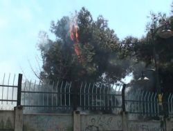 Nevruzu Bahane Eden Grup Ağaçları Ateşe Verdi