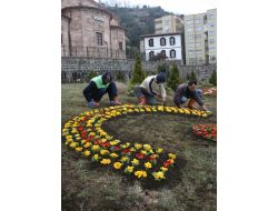 Giresun Müzesi, Rengarenk Çiçeklerle Donatıldı