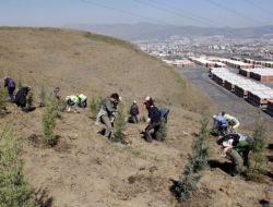 İgc Hatıra Ormanı Işıkkent’te Oluşturuldu
