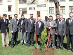 Okul Bahçeleri Yeşilleniyor