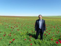 Ak Partili İçten’den Bdp’ye: Nevruz Bayramsa Neden Araçları Yakıyorsun?