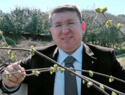 FINDIK EKSPERLERİNE EĞİTİM