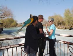 Manavgat Şelalesi'nde Turizm Sezonu Başladı