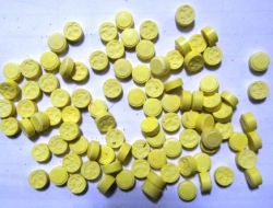 Sakarya'daki Uyuşturucu Operasyonu