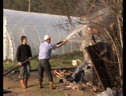 Yaşlı Kadın Ve Büyükbaş Hayvanlar Yanmaktan Son Anda Kurtarıldı