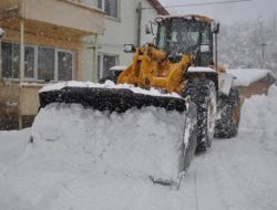 Bitlis’te Karla Kapanan Köy Yolları Açılıyor