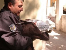 Sokağa Atılan Bebek Devlet Korumasına Alındı