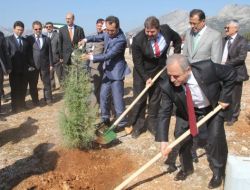 Muğla’da Dokuz Yılda 29 Milyon Fidan Dikildi