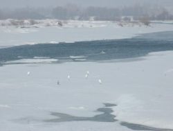 Baharın Müjdecisi Leylekler Karla Karşılaştı