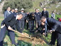 Trafik Polisleri Meyve Ağacı Dikti