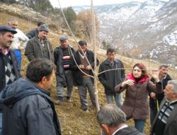 Amasya’da Çiftçilere Üzüm Ve Meyve Ağacı Budama Eğitimi