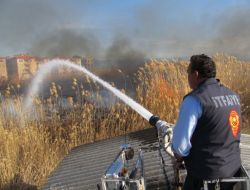 Zeytinli'de Sazlık Yangını Korkuttu