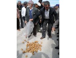 Köylüler Bilirkişi Heyetini Patatesli Eylem Yaparak Karşıladı