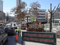 Ankara Caddelerinde Ağaç Budama Çalışmaları Devam Ediyor