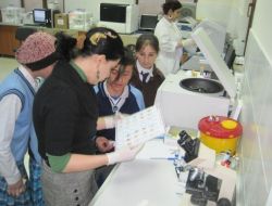 Patnoslu Öğrenciler Kan Gruplarını Öğrendi