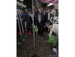 Bakan Eroğlu 10 Bin Erguvan Fidanı Dağıttı