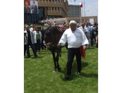 Cihan’ın Arşiv Haberi Yeni Sanılınca…