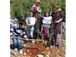 Her Yıl Bir Köyü Ormanlaştırıyorlar