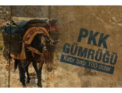 "PKK GÜMRÜĞÜ"