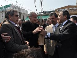 Eyüp Sultan Erguvanlarla Donatılıyor