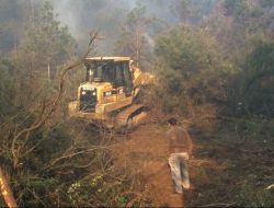 Ayazağa’daki Yangında 5 Hektar Ormanlık Alan Kül Oldu