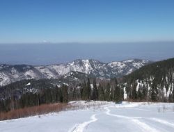 Düzce Kardüz Yaylası Kış Turizmine Kazandırılacak