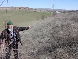 Ömrünü Ağaç Dikmeye Adadı