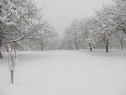 Adilcevazlılar Baharı Beklerken Yağan Kara Şaşırdı