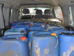 Yurda Sokulan Kaçak Sığırlar Yakalandı