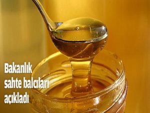 O İki Şirkete Teşhir Cezası