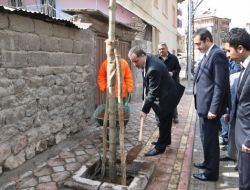 Malatya'da Kent Merkezine 2 Bin 200 Ağaç Dikilecek