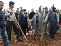 Adıyamanlı Gazeteciler 200 Fidanı Toprakla Buluşturdu
