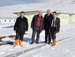 Sokak Hayvanları Modern Evlerine Kavuşuyor